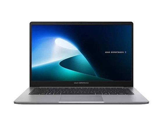 ExpertBook P1 Core 5 210H 16 GB 512 GB SSD 14 Full HD Notebook-Mistik Grey-P1403CVA-C516512G0D