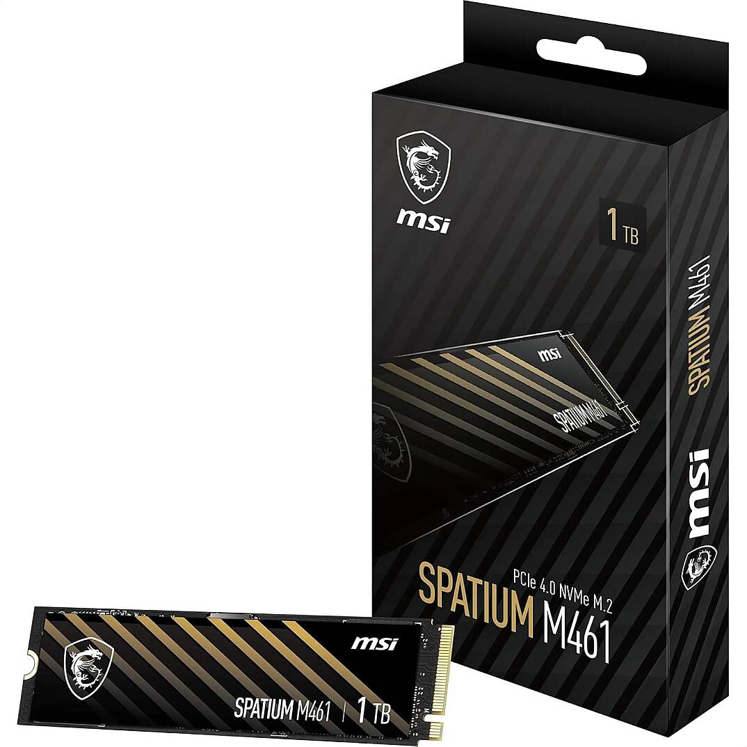 MSI SPATIUM M461 1TB NVME M.2 SSD - 1